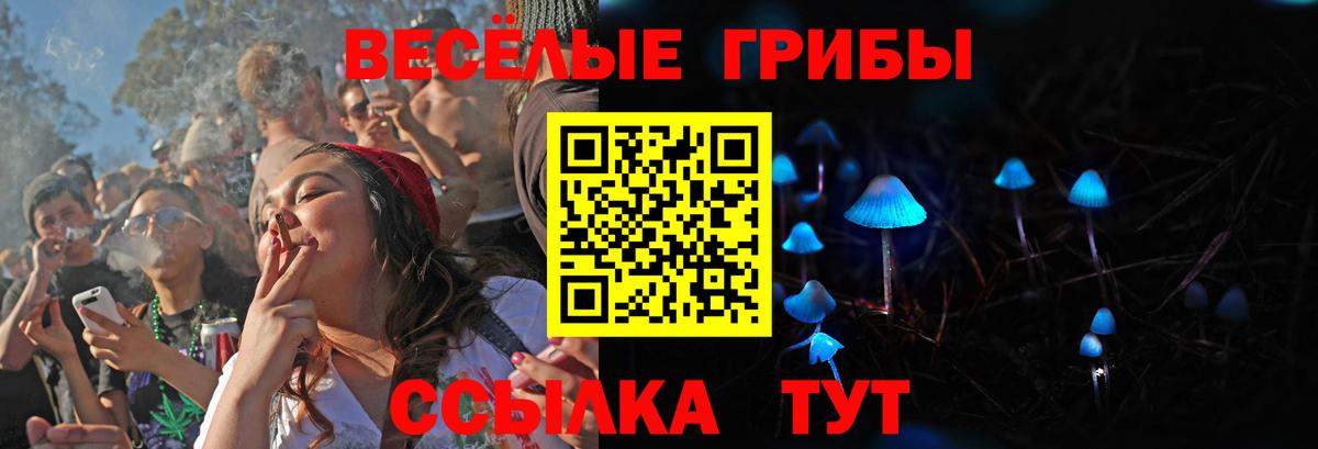 Зима  Галлюциногенные грибы прущие грибы  купить наркотики сайты  Вход с VPN  Галлюциногенные грибы Cubensis 